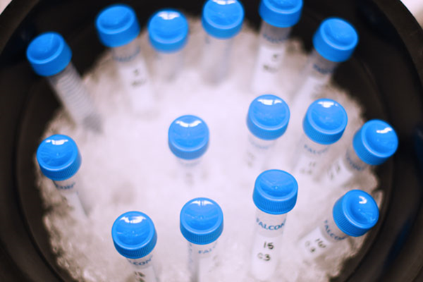 Photo of test tubes in ice