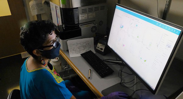 NIH Grant image Woman looking at computer in lab