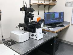 Nikon confocal