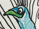 Peacock Peacock