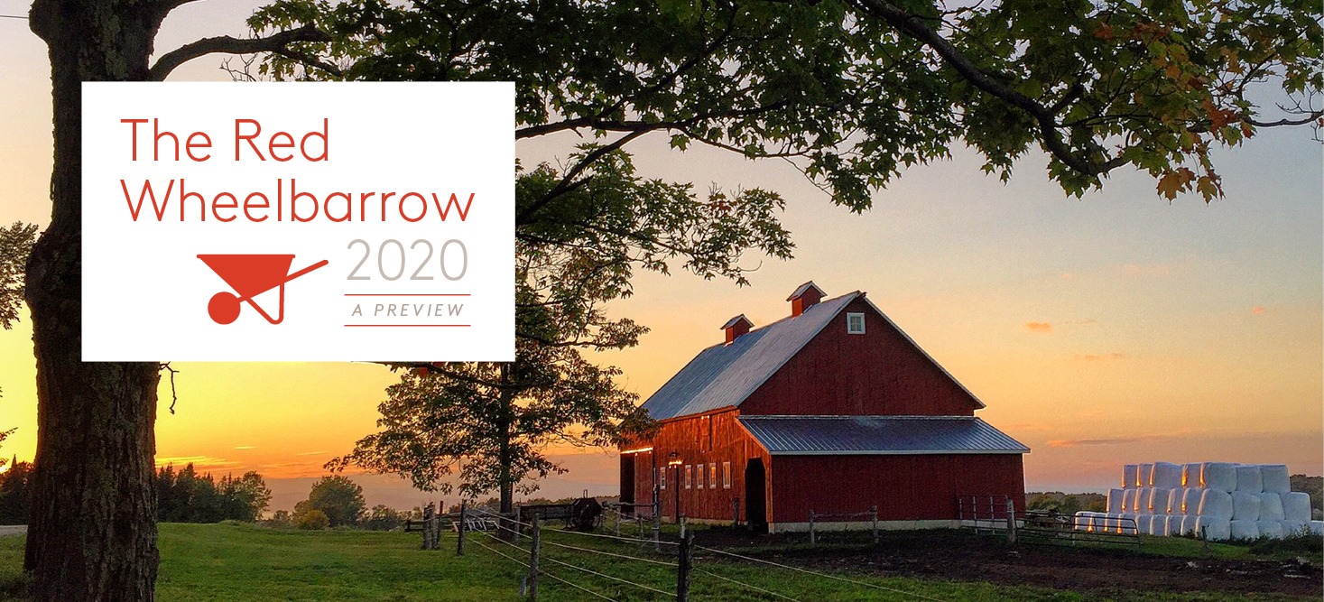 Red Wheelbarrow 2020: A Preview