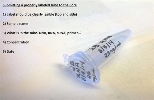 Sample Submission Instructions Sample Submission Instructions