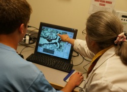 Technician assisting a user on the computer