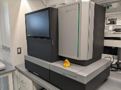 Image of the Singular Genomics G4 Benchtop Next Generation Sequencing Instrument