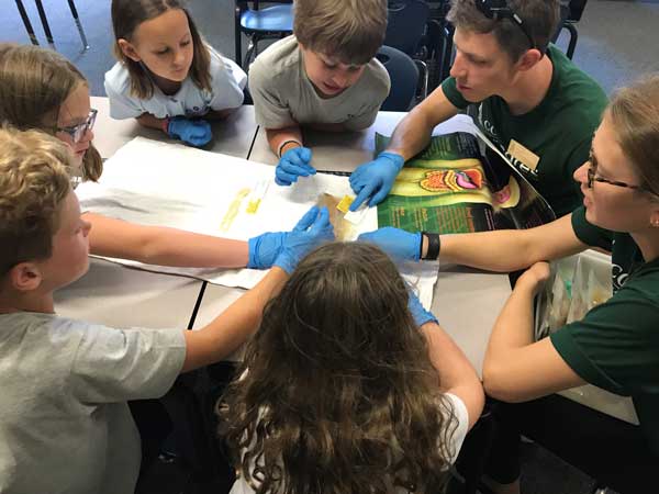 Medical Students teaching young children