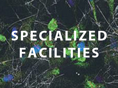 Specialized Facilities