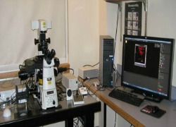 Image of Nikon STORM microscope