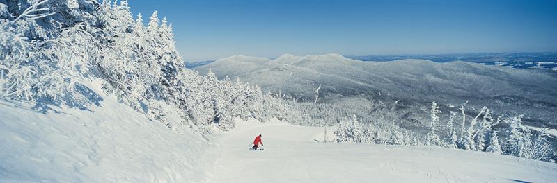 Stowe trail skiing Skier on a trail in Stowe