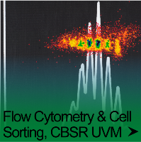 a clickable button that reads Flow Cytometry & Cell Sorting, CBSR UVM