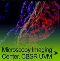 a button that reads Microscopy Imaging Center, CBSR UVM