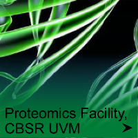 a button that reads Proteomics Facility, CBSR UVM