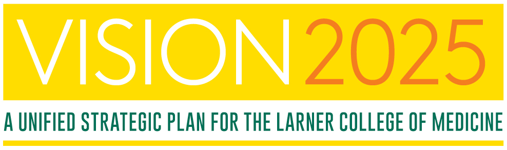 Vision 2025 Strategic Plan Banner