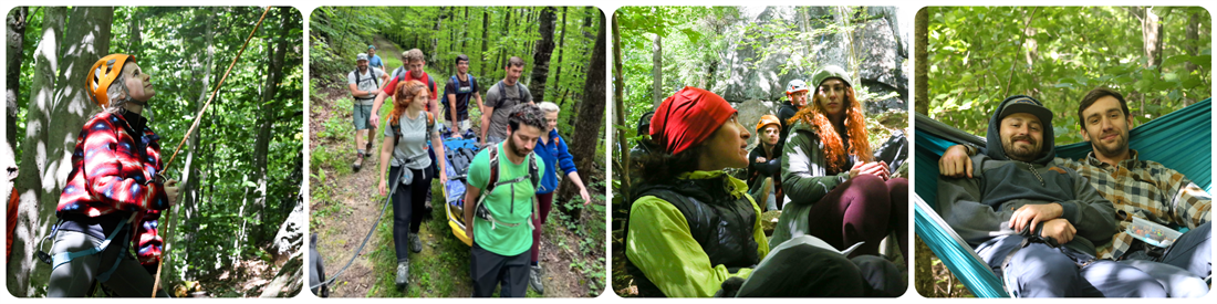 Collage of four images of students in a thick forest