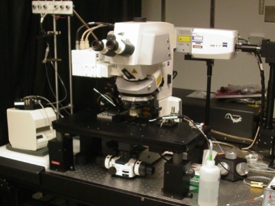Zeiss LSM-7 Dedicated Multiphoton